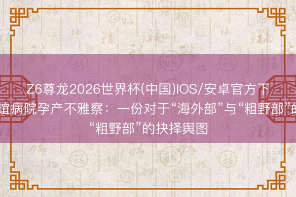 Z6尊龙2026世界杯(中国)IOS/安卓官方下载 通州友谊病院孕产不雅察：一份对于“海外部”与“粗野部”的抉择舆图