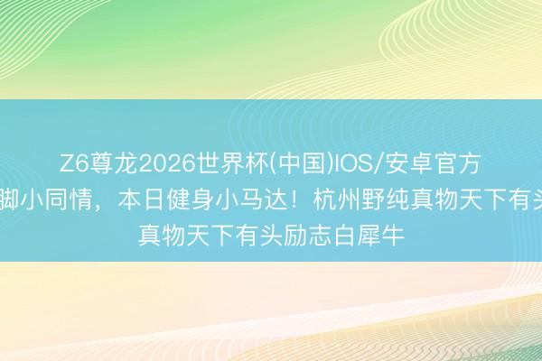 Z6尊龙2026世界杯(中国)IOS/安卓官方下载 畴昔软脚小同情，本日健身小马达！杭州野纯真物天下有头励志白犀牛