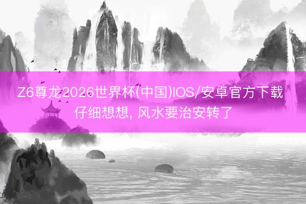 Z6尊龙2026世界杯(中国)IOS/安卓官方下载 仔细想想， 风水要治安转了