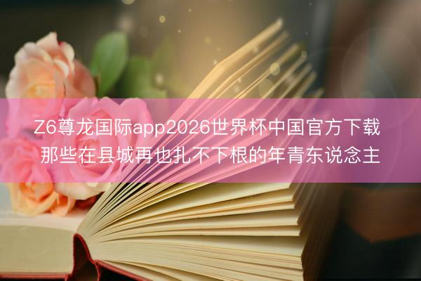 Z6尊龙国际app2026世界杯中国官方下载 那些在县城再也扎不下根的年青东说念主