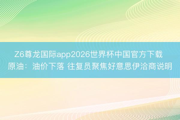 Z6尊龙国际app2026世界杯中国官方下载 原油：油价下落 往复员聚焦好意思伊洽商说明