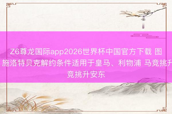 Z6尊龙国际app2026世界杯中国官方下载 图片报: 施洛特贝克解约条件适用于皇马、利物浦 马竞挑升安东