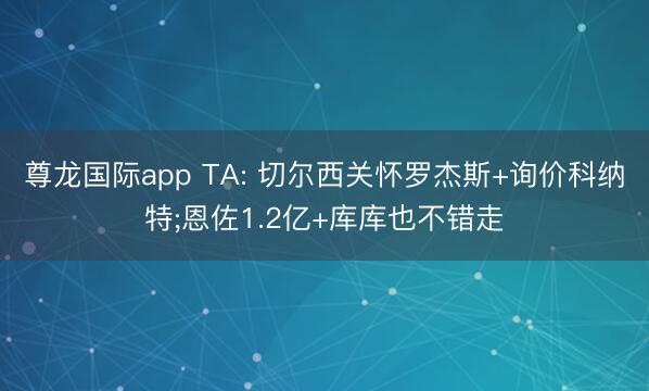 尊龙国际app TA: 切尔西关怀罗杰斯+询价科纳特;恩佐1.2亿+库库也不错走