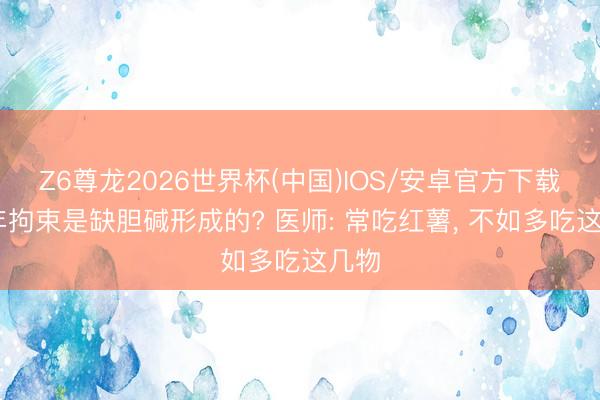 Z6尊龙2026世界杯(中国)IOS/安卓官方下载 老年拘束是缺胆碱形成的? 医师: 常吃红薯， 不如多吃这几物