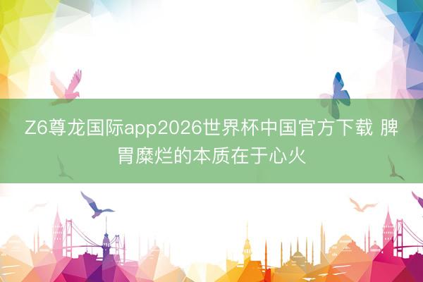Z6尊龙国际app2026世界杯中国官方下载 脾胃糜烂的本质在于心火