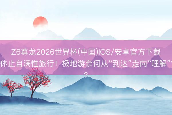 Z6尊龙2026世界杯(中国)IOS/安卓官方下载 休止自满性旅行！极地游奈何从“到达”走向“理解”？