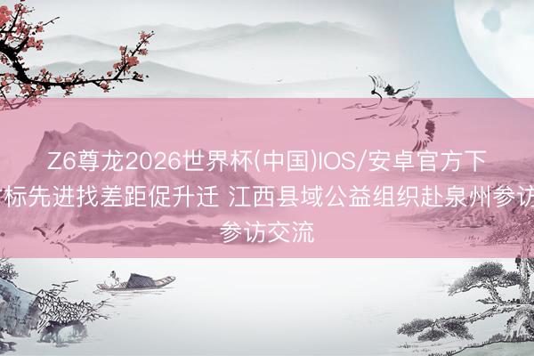 Z6尊龙2026世界杯(中国)IOS/安卓官方下载 对标先进找差距促升迁 江西县域公益组织赴泉州参访交流
