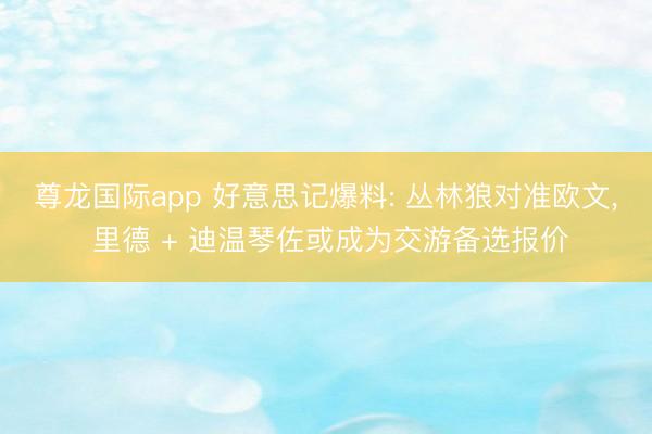 尊龙国际app 好意思记爆料: 丛林狼对准欧文， 里德 + 迪温琴佐或成为交游备选报价