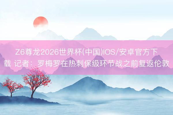 Z6尊龙2026世界杯(中国)IOS/安卓官方下载 记者:罗梅罗在热刺保级环节战之前复返伦敦