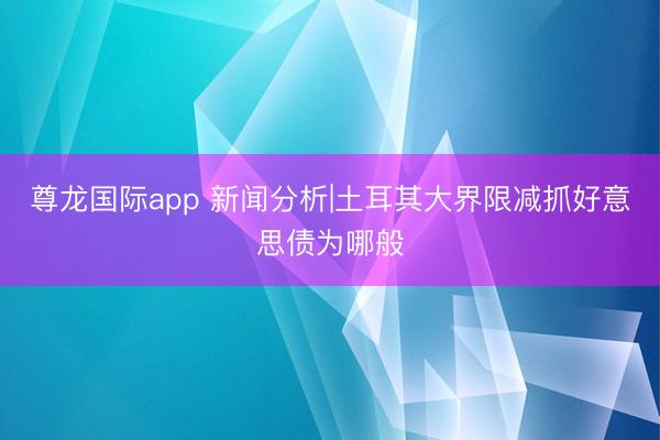 尊龙国际app 新闻分析|土耳其大界限减抓好意思债为哪般