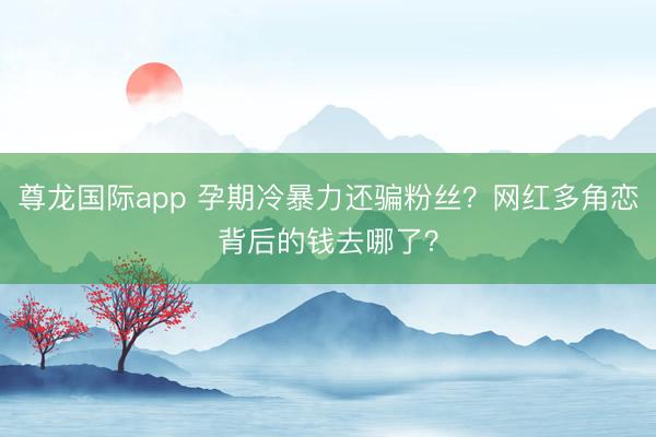 尊龙国际app 孕期冷暴力还骗粉丝？网红多角恋背后的钱去哪了？