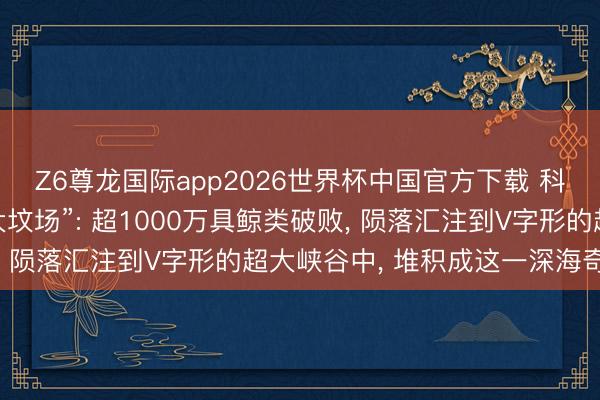 Z6尊龙国际app2026世界杯中国官方下载 科学家揭秘最深鲸类“大坟场”: 超1000万具鲸类破败， 陨落汇注到V字形的超大峡谷中， 堆积成这一深海奇不雅
