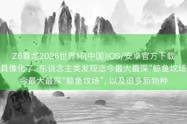 Z6尊龙2026世界杯(中国)IOS/安卓官方下载 “一鲸落， 万物生”具像化了: 东说念主类发现迄今最大最深“鲸鱼坟场”， 以及很多新物种
