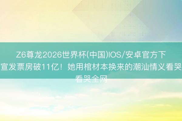 Z6尊龙2026世界杯(中国)IOS/安卓官方下载 0宣发票房破11亿！她用棺材本换来的潮汕情义看哭全网