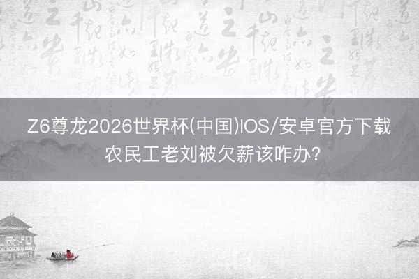 Z6尊龙2026世界杯(中国)IOS/安卓官方下载 农民工老刘被欠薪该咋办？