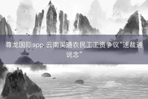 尊龙国际app 云南买通农民工工资争议“速裁通说念”
