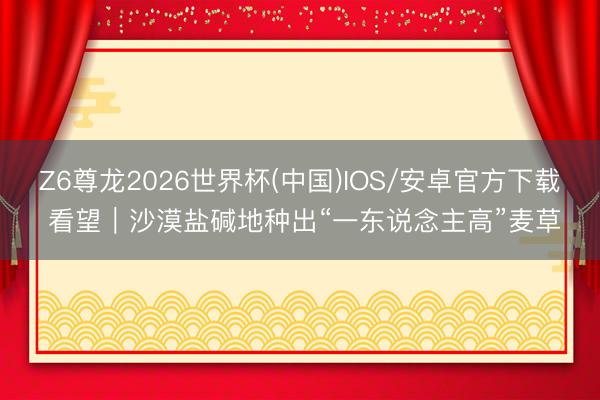 Z6尊龙2026世界杯(中国)IOS/安卓官方下载 看望｜沙漠盐碱地种出“一东说念主高”麦草