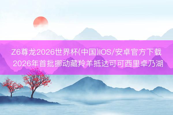 Z6尊龙2026世界杯(中国)IOS/安卓官方下载 2026年首批挪动藏羚羊抵达可可西里卓乃湖