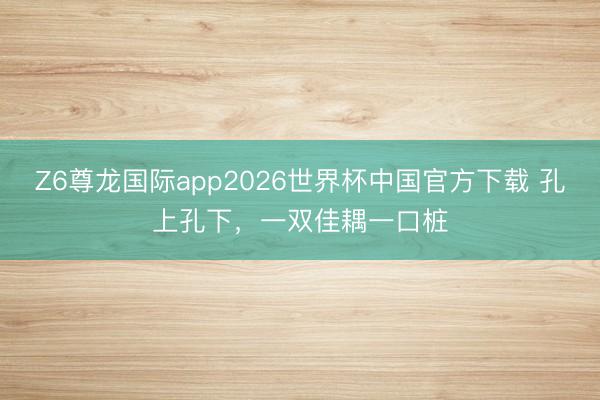 Z6尊龙国际app2026世界杯中国官方下载 孔上孔下，一双佳耦一口桩