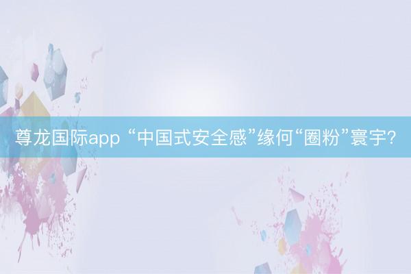 尊龙国际app “中国式安全感”缘何“圈粉”寰宇？