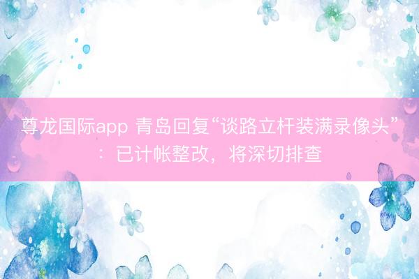 尊龙国际app 青岛回复“谈路立杆装满录像头”：已计帐整改，将深切排查
