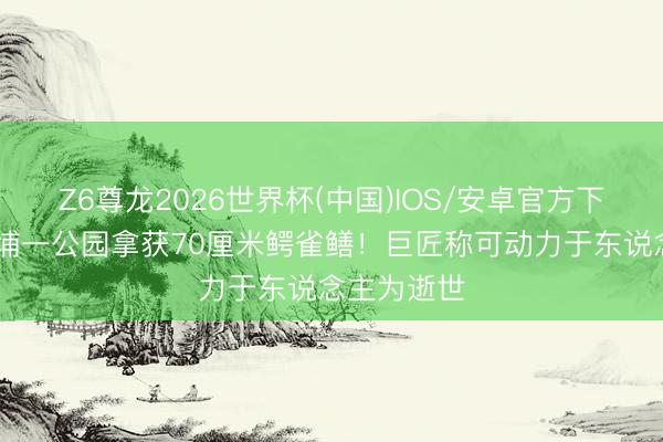 Z6尊龙2026世界杯(中国)IOS/安卓官方下载 广州黄埔一公园拿获70厘米鳄雀鳝！巨匠称可动力于东说念主为逝世