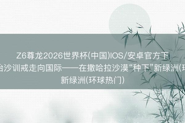 Z6尊龙2026世界杯(中国)IOS/安卓官方下载 中国治沙训戒走向国际——在撒哈拉沙漠“种下”新绿洲(环球热门)