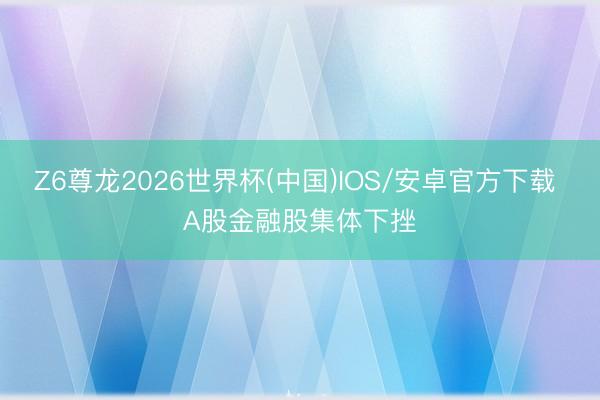 Z6尊龙2026世界杯(中国)IOS/安卓官方下载 A股金融股集体下挫