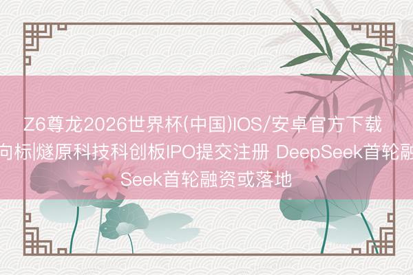Z6尊龙2026世界杯(中国)IOS/安卓官方下载 硬科技投向标|燧原科技科创板IPO提交注册 DeepSeek首轮融资或落地