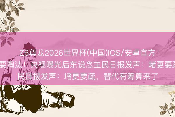 Z6尊龙2026世界杯(中国)IOS/安卓官方下载 “电动四轮车”要淘汰！央视曝光后东说念主民日报发声：堵更要疏，替代有筹算来了